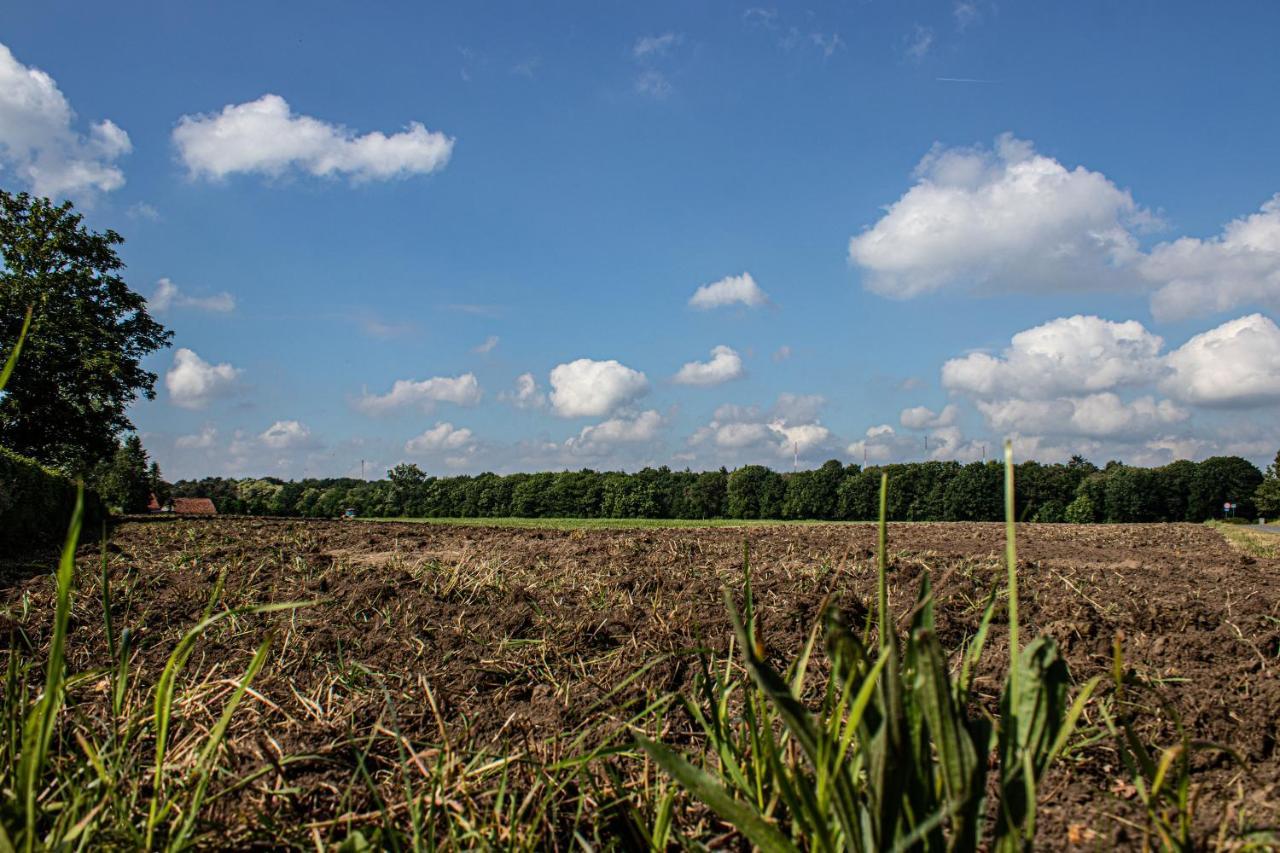 De Lammersdamhoeve Wingene Exterior foto